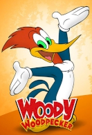 The New Woody Woodpecker Show